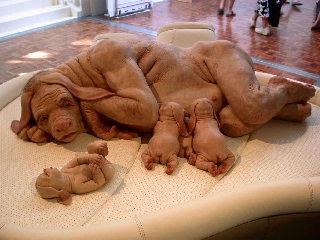 Quando você vai ter filhos?