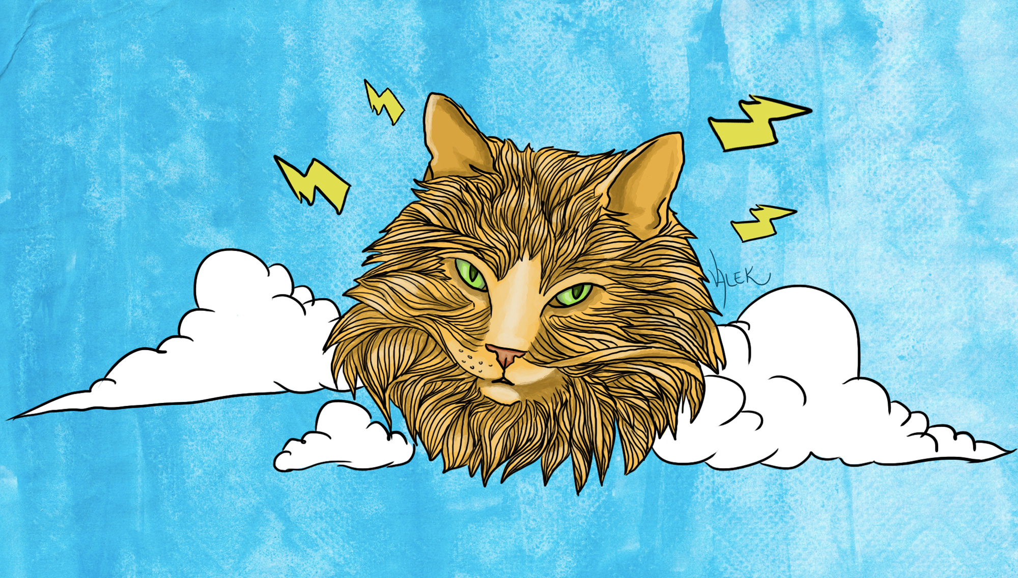 Descobri que meu gato é deus