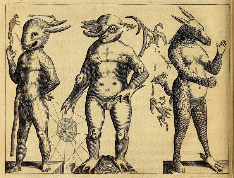 Ilustração antiga com três figuras grotescas, meio humanóides, meio feras, um com chifres, troncos no umbigo e teia de aranha entre as pernas, outra com nariz comprido, cauda, micro-pienis, um rosto na barriga e carinhas de cachorro nos mamilos, cotovelos e joelhos, e uma terceira figura com seios, vagina, escamas, pata de elefante e cara de dragão.